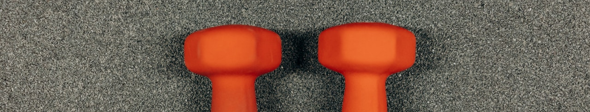 transform fitness